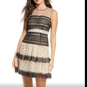 NWT FOXIEDOX mimi polka dot chiffon dress